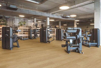 Pergo Extreme Navik proX - Prime Oak 