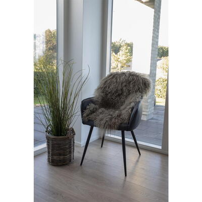 Mongolian mushroom lammeskind