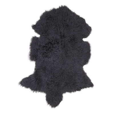 Mongolian gråt lammeskind