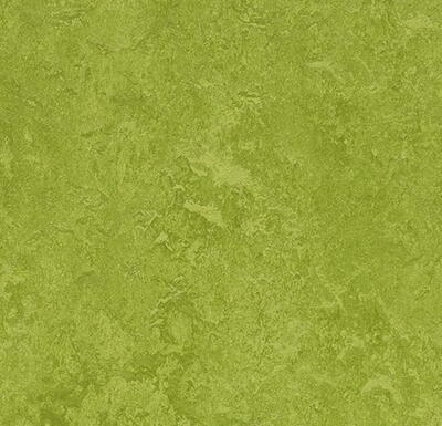 Marmoleum Fresco - Green