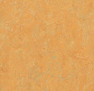 Marmoleum  Real - Golden Saffron