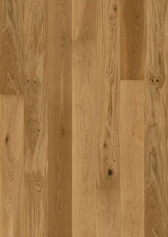 Grand Velvet plank - Oak T09 