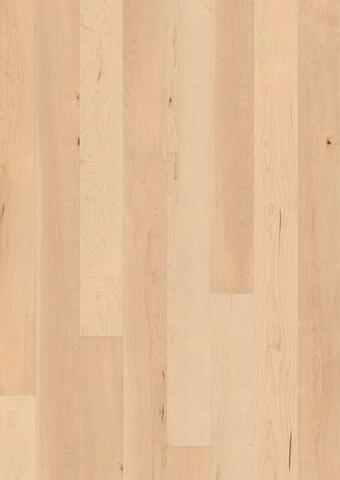 Grand Velvet plank - Hard maple canadian T10 