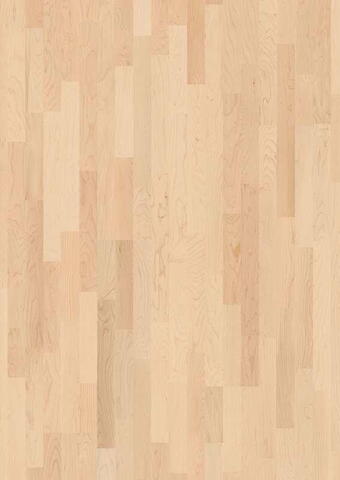 Satin Elements 3-stav - Hard maple canadian U08 