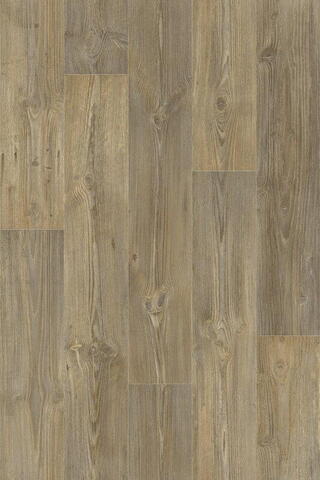 Supreme, 631M Barn Pine