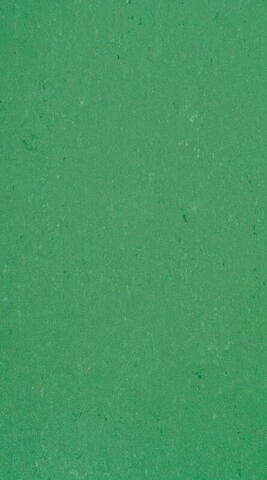DLW Colorette linoleum, Vivid Green