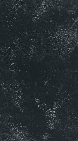 DLW Arabesque linoleum, Alcino