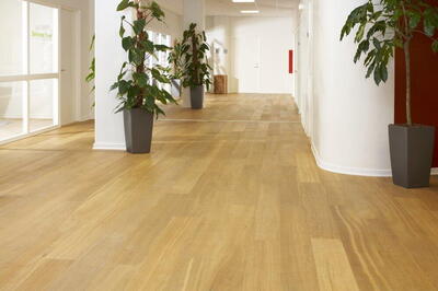 Dane-Wood Eg Prima plank 240 mm. klar olie