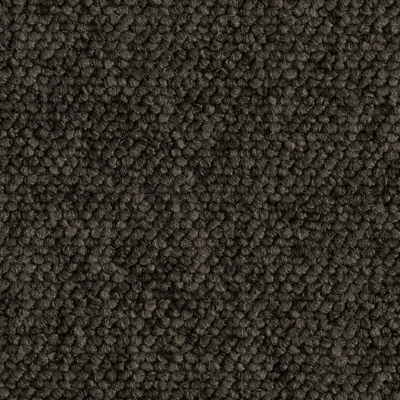 Ege Epoca Family, Grålig 