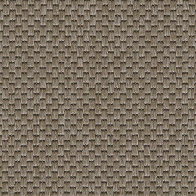 Ege Fusion, Dark beige 