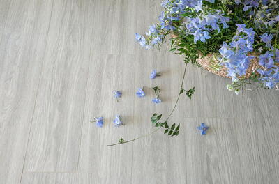 Tarkett Soundlogic, Laminatgulv - Light Grey Oak 