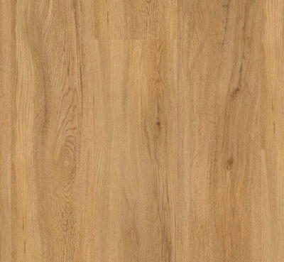 Parador Vinyl Basic 2.0 Plank - Eg Sierra natur børstet struktur -