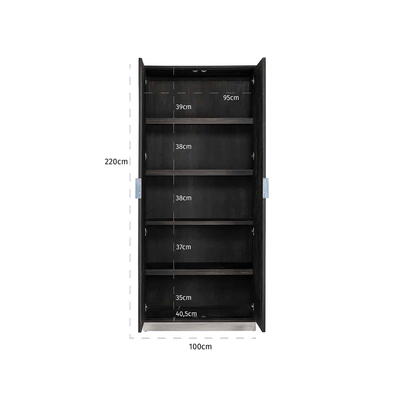 Skab Blackbone Sølv 2-Døre