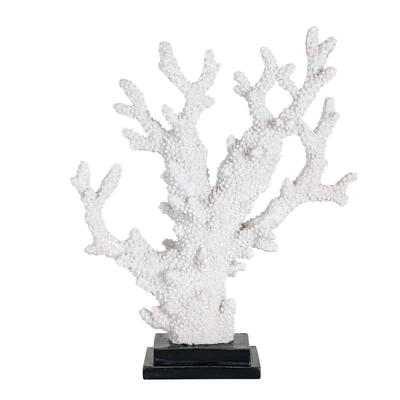 Coral Adam dekoration