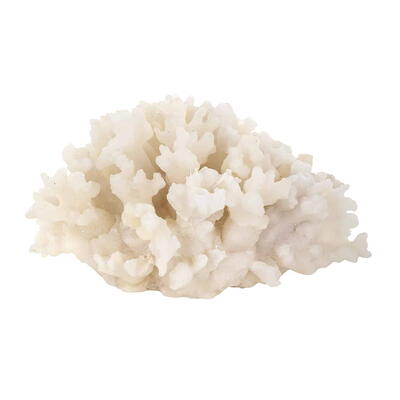 Coral Aaron dekoration