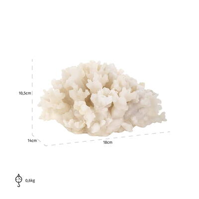 Coral Aaron dekoration