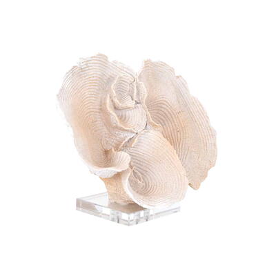 Coral Efron dekoration