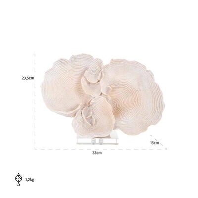 Coral Efron dekoration