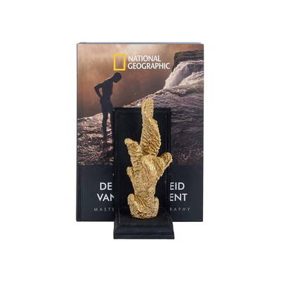 Bogholder Standard Donei.