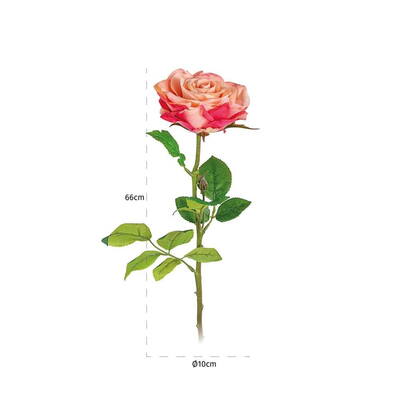 Flower Rose Rosee-White (18 stk.)