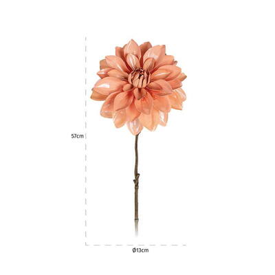 Flower Dahlia Honey (12 stk.)