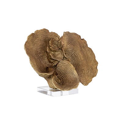 Coral Julian dekoration