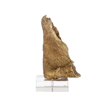 Coral Julian dekoration