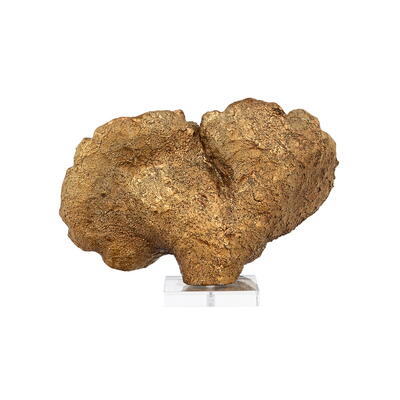 Coral Julian dekoration