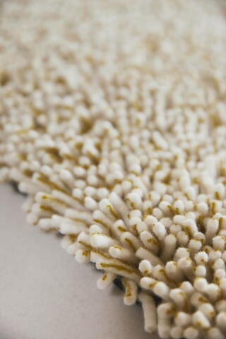 Mandarin orange 120903