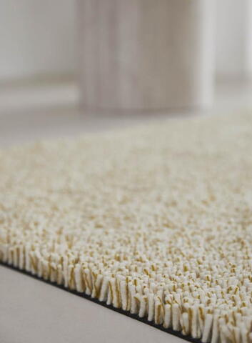 Mandarin orange 121003