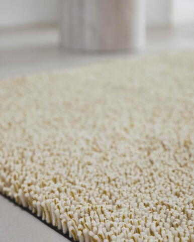 Mandarin orange 121003