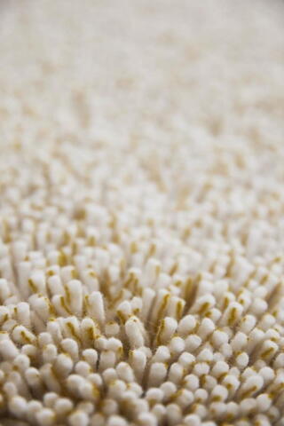 Mandarin orange 121003