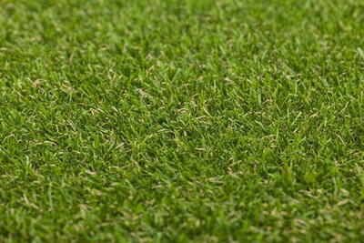 Mona Jungle kunstgræs