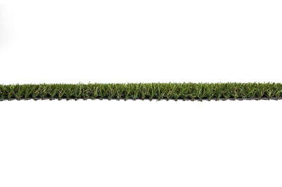 Græstæppe, Wimbledon 6909 Avocado