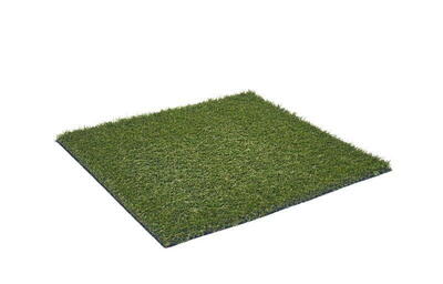 Græstæppe, Riviera+ 6672 Olive