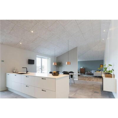 Troldtekt træbeton K5 akustikplade Hvid