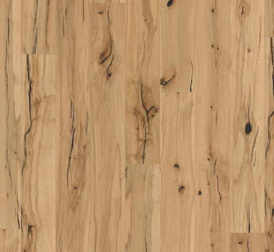 Parador Trægulv Trendtime 8 - Bøg Elephant skin, Planke