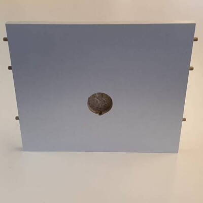 Skabsbund med udfræsning til spot