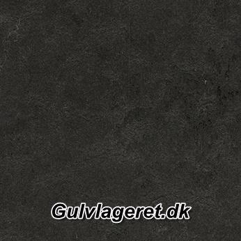 Modular Shade black hole t3707 - REST 8 M2