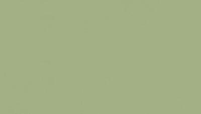 Tarkett LinoWall Olive 