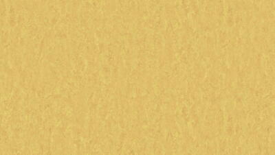 Style Emme xf² Gold 