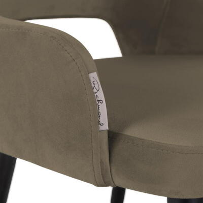 Stol Antony shitake seven