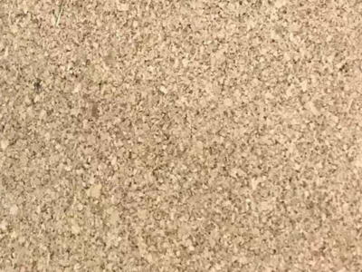 LVT vinylklik - Kingsize, Lys Natur - Sildeben