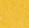 Marmoleum Click - Lemon Zest 