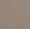 Marmoleum  Concrete - Silt
