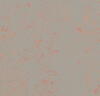 Marmoleum  Concrete - Orange Shimmer