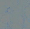 Marmoleum  Concrete - Blue Shimmer