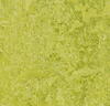 Marmoleum  Real - Chartreuse