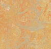 Marmoleum  Vivace - Sunny Day