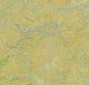 Marmoleum  Vivace - Green Melody